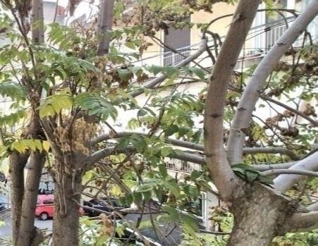 Διαμέρισμα για ενοικίαση Αμπελόκηποι (Αμπελόκηποι - Πεντάγωνο) - Photo 1