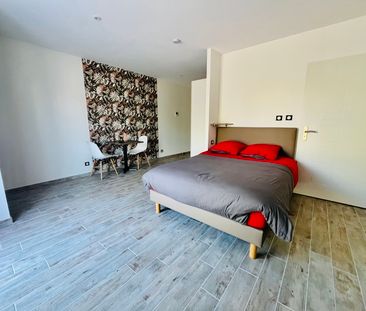 Location Appartement 1 pièce 30m² CARMAUX 81400 - Photo 3