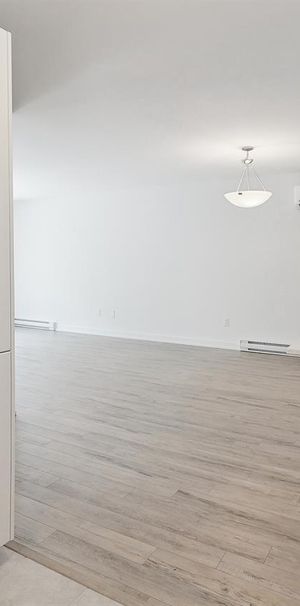 65 Rue Dupuis (Gatineau) Magnifique 4 1/2 - Photo 1