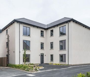 Apt 39D Limestone Square, Armagh BT60 3AU - Photo 6