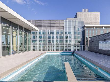 1150 Rue St Denis - Photo 3