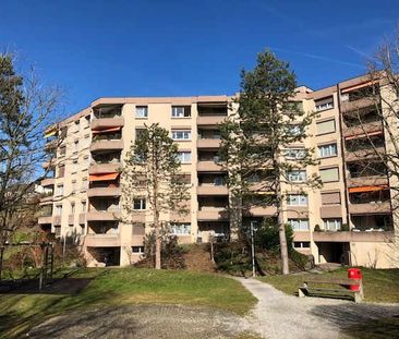 2.5 Zimmer, 65 m², 3. Stock - Foto 6