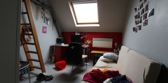 kamer 13 - ruime duplex vrij wegens stopzetten studie - Merelstraat 47 - Photo 2