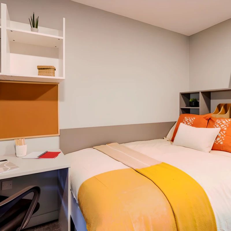 Affordable Studio - Photo 1