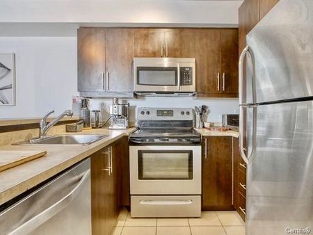Appartement à louer - Montréal (Ville-Marie) (Centre) - Photo 3