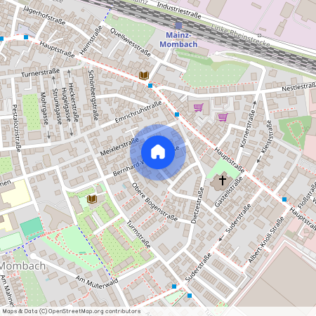 Bernhard-Winter-Str 11, 55120 Mainz