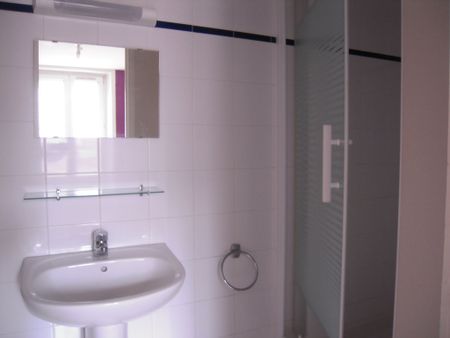 Location Appartement 1 pièce 29m² REIMS 51100 - Photo 4