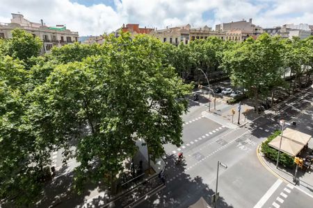 Gran Via de les Corts Catalanes, Barcelona, Catalonia 08015 - Photo 3