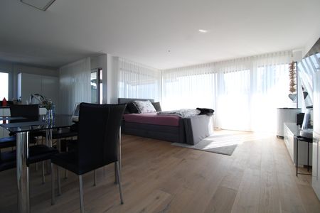 Wunderschöne 3.5 Zimmer Attikawohnung - Photo 2