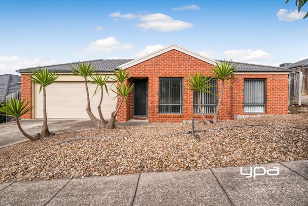 6 Raine Ct, Sunbury - Photo 1