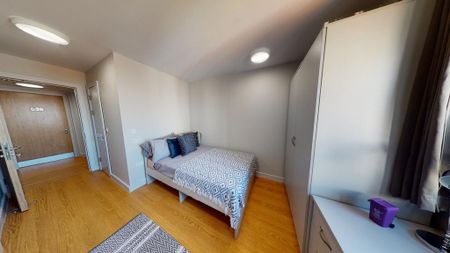 3 bedroom flat share to rent - Photo 4