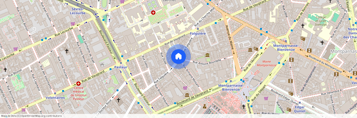 Rue Falguière et Rue Armand Moisant 75015 Paris (15e arrondissement)