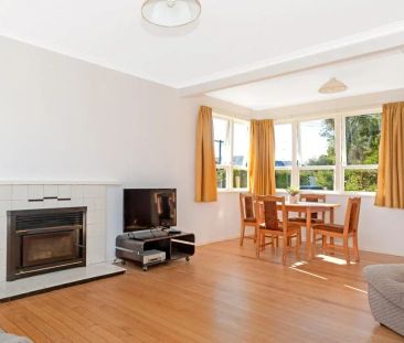 The House You are Looking For! - Photo 2