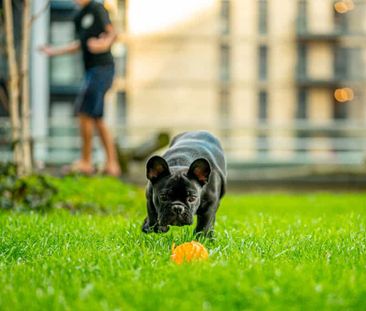 Carter House, SL6 1EB, Maidenhead - Photo 5