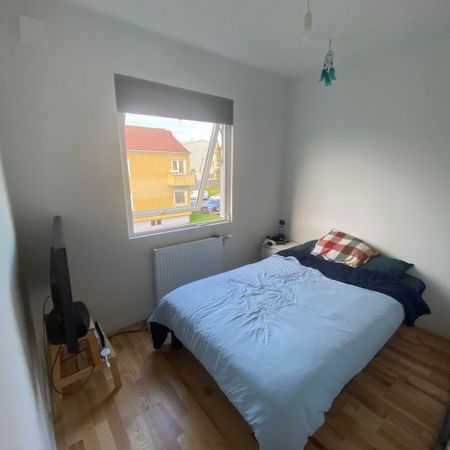 Pilegårdsgatan, Göteborg - Foto 4