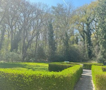 INSTAPKLAAR APPARTEMENT - Photo 5