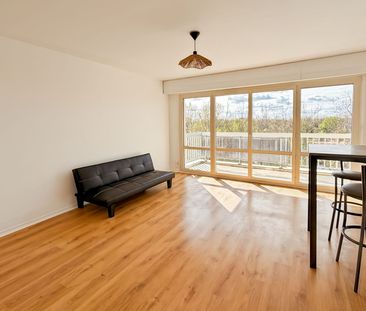 Appartement à louer 2 pièces • 47,25 m2 Orléans - Photo 3