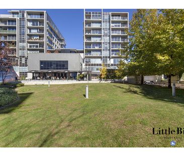 37/3 Burbury Close, Barton ACT 2600 - Apartment For Rent | Domain - Photo 6