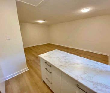 Freshly Renovated Studio Apartment - Photo 2