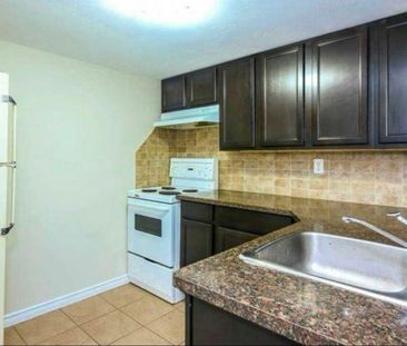 For Lease - 397 Browndale Crescent Unit# basement, Richmond Hill, O... - Photo 5