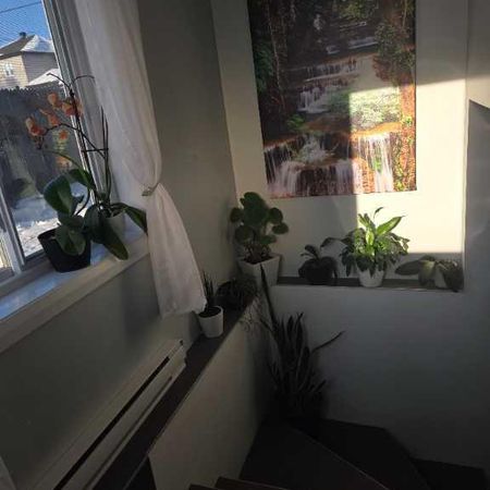 Appartement à louer - Photo 4