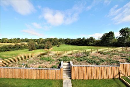 3 bedroom house to rent - Photo 3