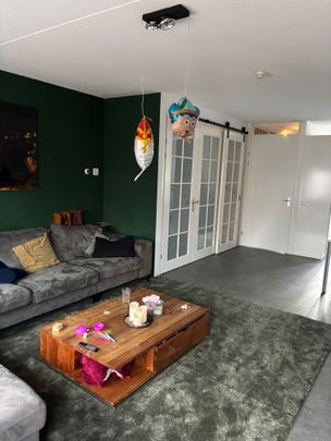Huis te huur: Slijpsteen 8 3214 HC Zuidland - Foto 1