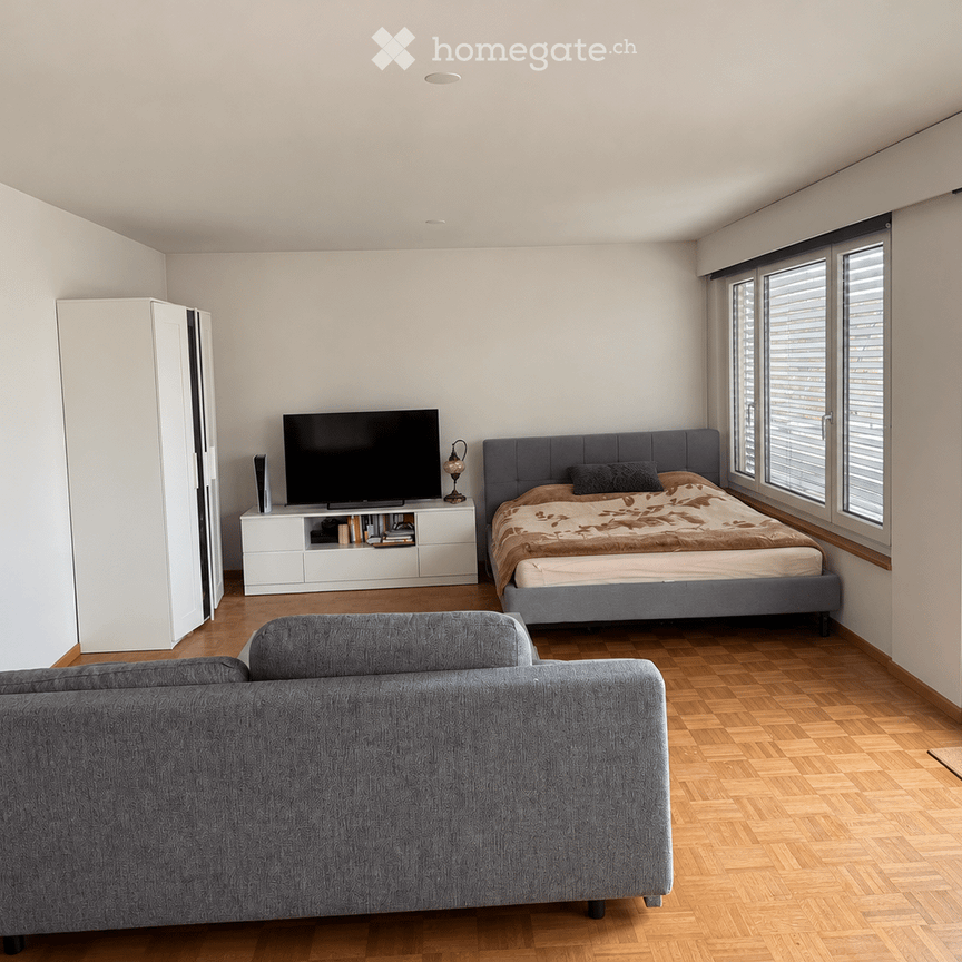 Dachwohnung in Zürich Oerlikon in grüner Lage - Photo 1