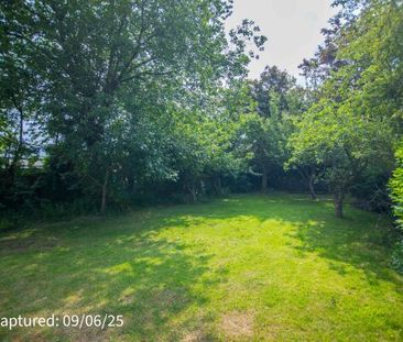 23 Alwyne Drive - Photo 6