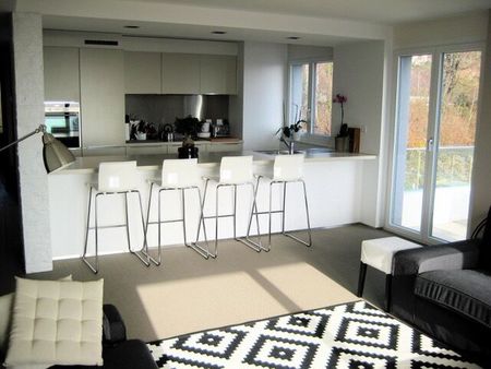 Luxurious 4.5-room apartment with view of the lake and the Alps - Photo 2