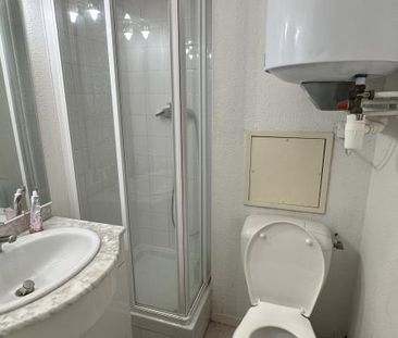 Location Appartement 1 pièce Meublé 17m² LE BOURGET DU LAC 73370 - Photo 2