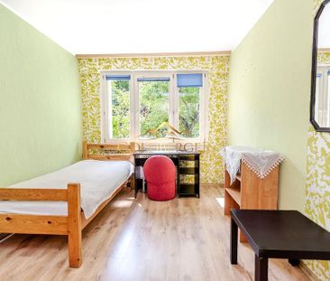 Pokój, Armii Krajowej - Photo 5