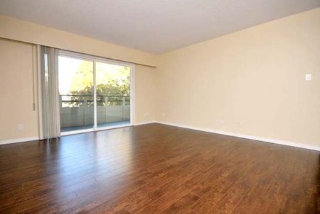 Westminster Court - 1 Bedroom - Photo 5