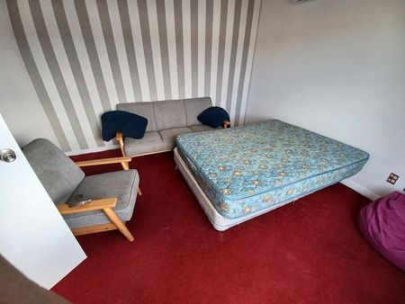 2-Bedroom Apartment in Kilbirnie - Photo 3
