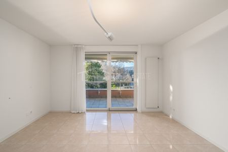 AMPIO APPARTAMENTO DI 5.5 VICINO ALLA TASIS - Foto 3