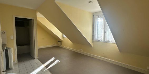Location Appartement 1 pièce 19m² BLOIS 41000 - Photo 3
