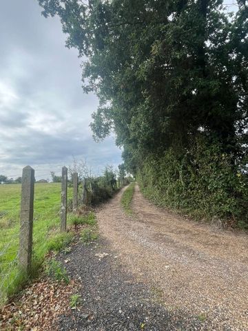ICKLESHAM, EAST SUSSEX - Photo 5