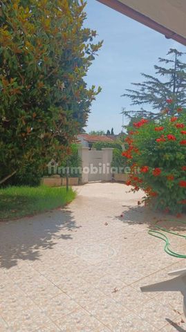 Villa a schiera via Eugenia, Ostuni Costa, Ostuni - Photo 4