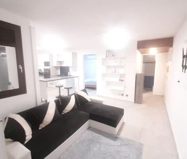 Location appartement 3 pièces, 48.12m², Ducos - Photo 2