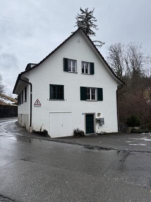 4-ZImmerwohnung in Zollikerberg gesucht? - Photo 1