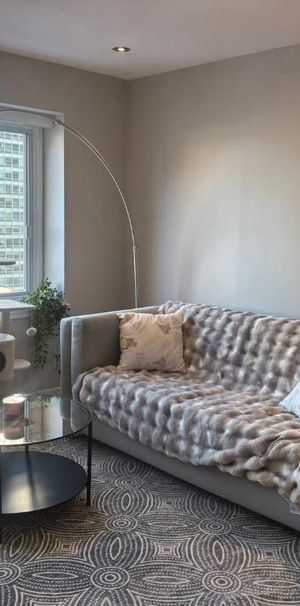 Cession bail – Très grand 3½ SEMI-MEUBLÉ ultra lumineux – Drummond – Métro McGill/Peel – Chauffage/Eau chaude – Animaux OK - Photo 1