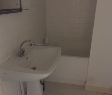 Location Appartement 1 pièce 25m² OLIVET 45160 - Photo 3