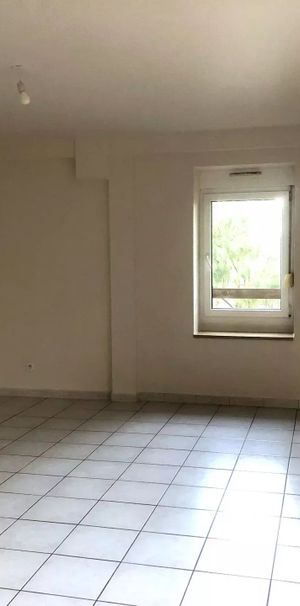 Location Appartement 2 pièces 47 m2 à Saint-Didier - Photo 1