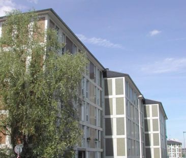 Location appartement T3 71.85m² à Reims (51100) - Photo 3