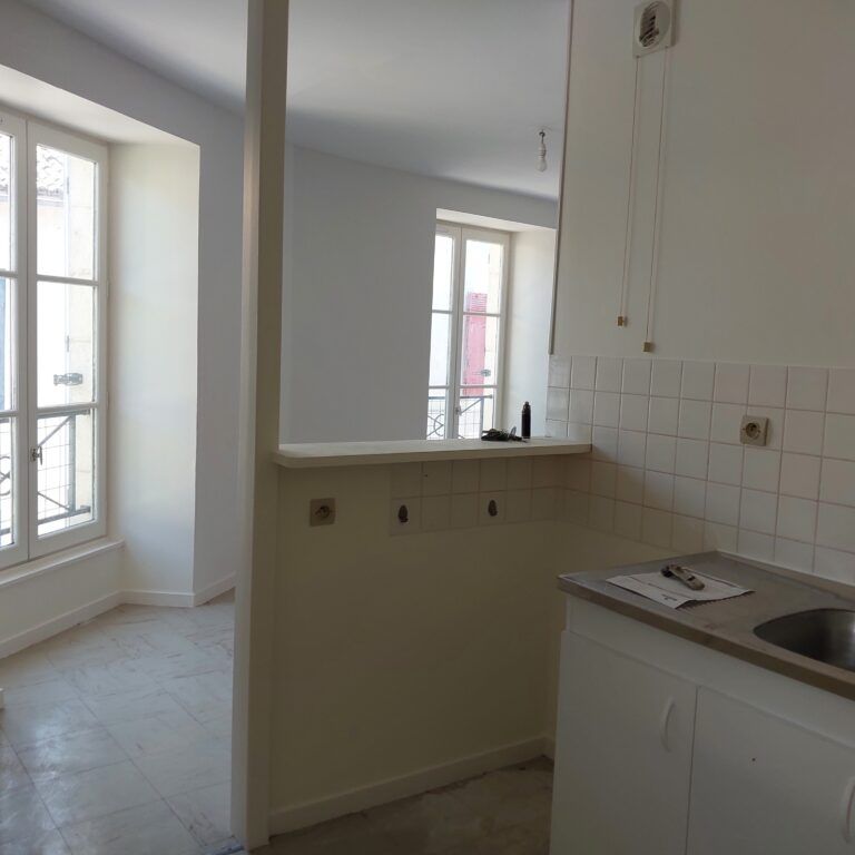 LOCATION Appartement, T1Bis, VALENCE EN POITOU COUHE - Photo 1