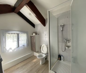 Location Appartement 1 pièce 13m² BURES SUR YVETTE 91440 - Photo 6