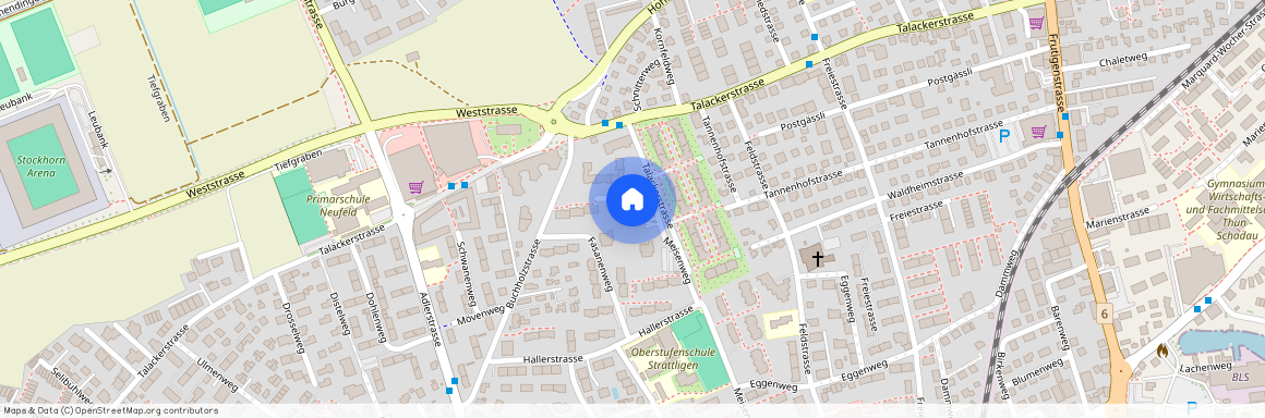 3604, Thun, Meisenweg, 33