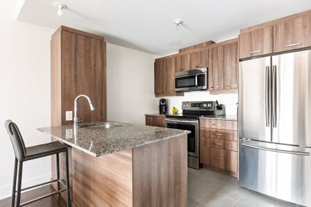 Condo for rent, Montréal (Ville-Marie) - Photo 4