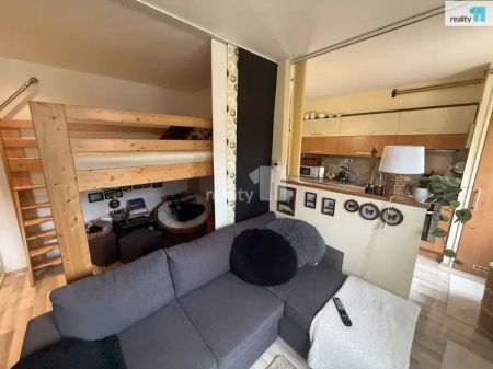 Pronájem bytu 1+kk, 33 m - Photo 3