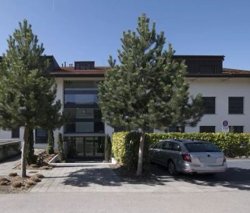 Superbe 3.5 pièces au rez-de-chaussée avec terrasse - Photo 1